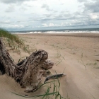 Atractivos turísticos de Araminda