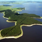Bosques del Río Negro