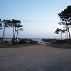 Información útil sobre Pinamar  