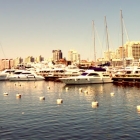 Atractivos de Punta del Este