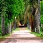 Jardín Botánico
