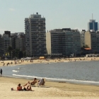 Playa Pocitos