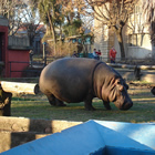 Zoológico Municipal de Villa Dolores