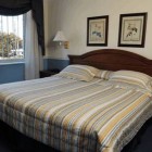 Regency Carrasco Suites